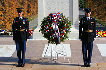 The "Old Guard" at the Tomb of the Unknown Soldier