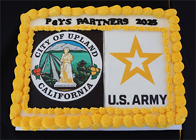 Cake for celebration Cake for celebration