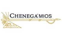 Chenega MIOS logo